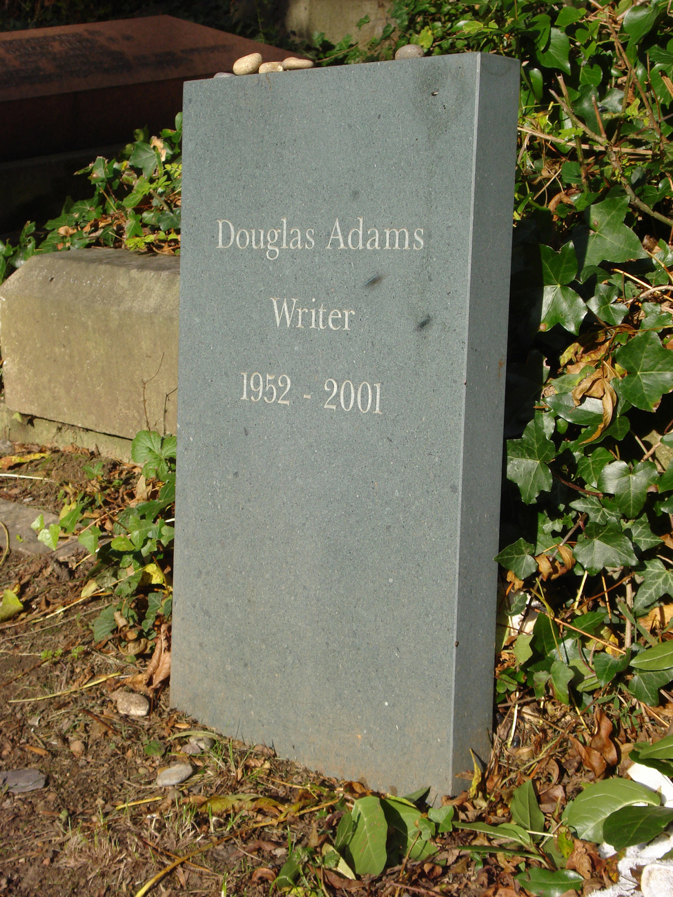 Douglas Adams legismertebb könyvéből, a Galaxis Útikalauz Stopposoknakból megtudhatjuk, hogy a végső kérdésre, vagyis hogy mi is a helyzet az 