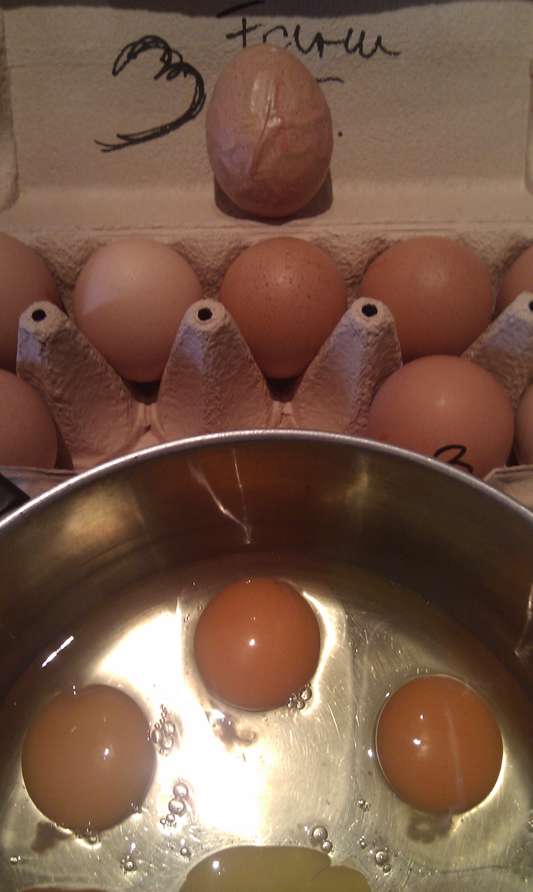 Piaci tojás.