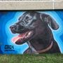 Budapest, az a bizonyos fekete kutya