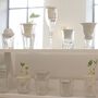 Alicja Patanowska London utcáiról gyűjtötte össze és alakította át kaspóvá vagy vázává az eldobált üvegpoharakat. A munkának értelemszerűen a „Plantation” névet adta a dizájner.
