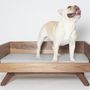 A 2002-ben alakult Pup & Kitnél a szó szoros értelemben véve ágyakat árulnak a kutyáknak, amiknek meg is kérik az árát, 359 kanadai dollárt (kb. 77 000 forintot).