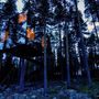 A svédországi Haradsban található erdei szálláshelynek megkérik az árát, 4000 koronát, azaz körülbelül 134.485 forintot kell fizetni érte éjszakánként.