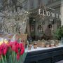 Két napra nyitott meg mindössze a Wildflower bar tulipán popup boltja