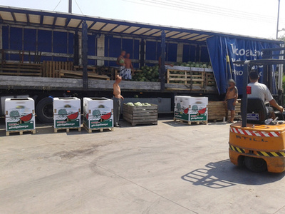 A Szabolcs-Szatmár-Bereg Megyei Kormányhivatal zöldség-gyümölcs ellenőrei a tételt azonnali hatállyal zárolták és megtiltották a forgalomba hozatalát 