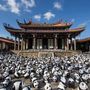 „ Mintegy 1600 panda szobrot állítottunk ki, hogy emlékeztessük az embereket arra, hogy mindössze ennyi panda él a vadonban.” – olvasható a „Panda turné” néven futó projectről a WWF oldalán.