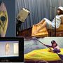 A 42 éves japán művészt, Megumi Igarashit nemrég letartóztatták,mivel jó ötletnek tartotta, hogy 3D-ben kinyomtassa saját vagináját, majd kajakot készítsen belőle. 