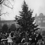 Dél-kelet London, 1955. december 23.: gyerekek táncolják körül a karácsonyfát. 